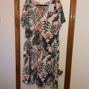 LulaRoe Jessie